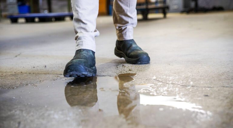 WATER DAMAGE NEEDS TO DRY WITHIN 2 TO 3 DAYS IN QUEENSLAND