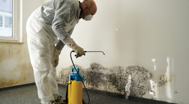 The Risks of Ignoring Mould Remediation After Water Damage