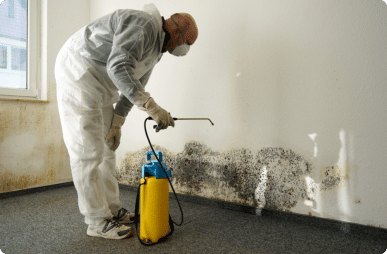 mould specialist
