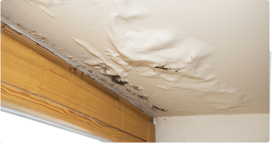 water damage assessment companies
