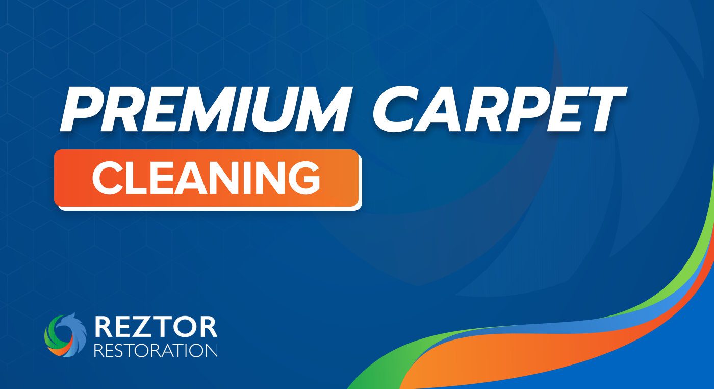 Best carpet cleaners Gold Coast, Brisbane and Southeast QLD Reztor