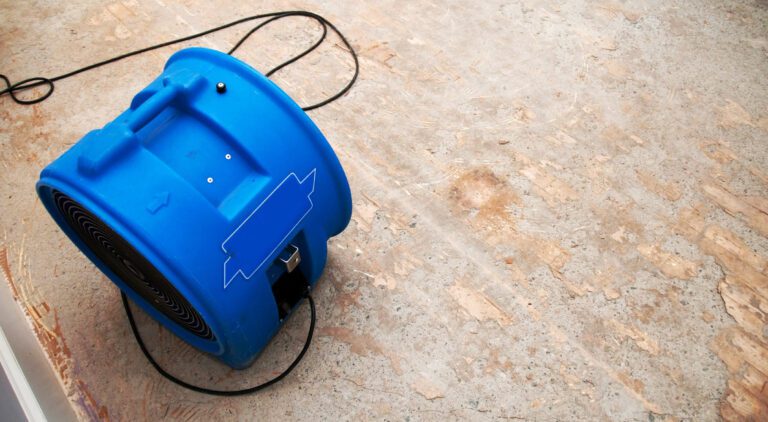 Why Professional Dehumidification Services are Essential After Flooding
