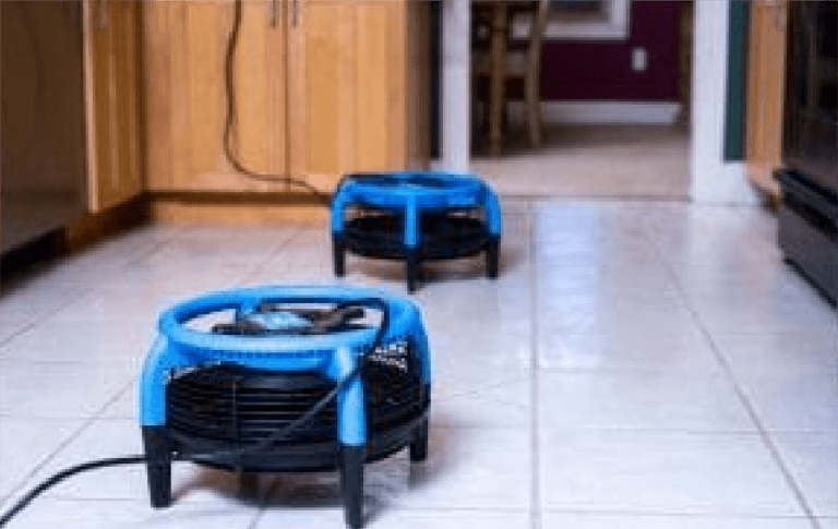 Emergency Water Extraction: Restoring Your Home to Safety