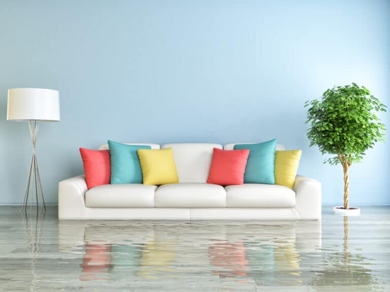 The Role of Professionals in Emergency Flood Cleanup