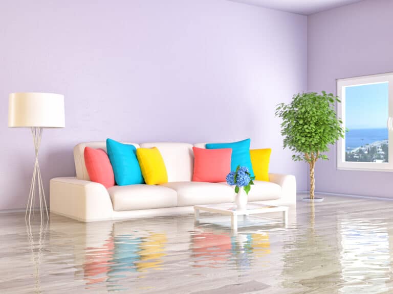 HOW TO CLEAN CARPET WITH FURNITURE