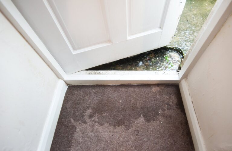 HOW TO CLEAN CARPET AFTER FLOODING