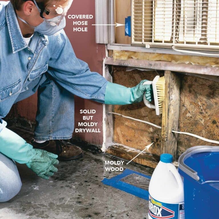 When Water Damage Occurs, Check For Mould