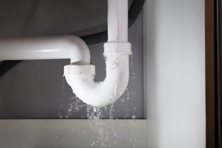 What Causes Water Damage, and Can We Prevent Them?