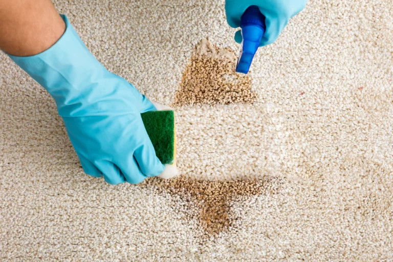 How To Prevent Bad Smells In The Carpets At Home?