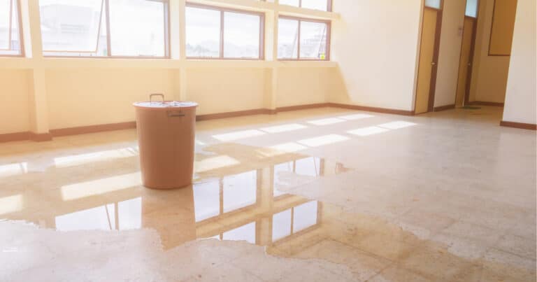 How Much Does A Water Damage Assessment Cost?