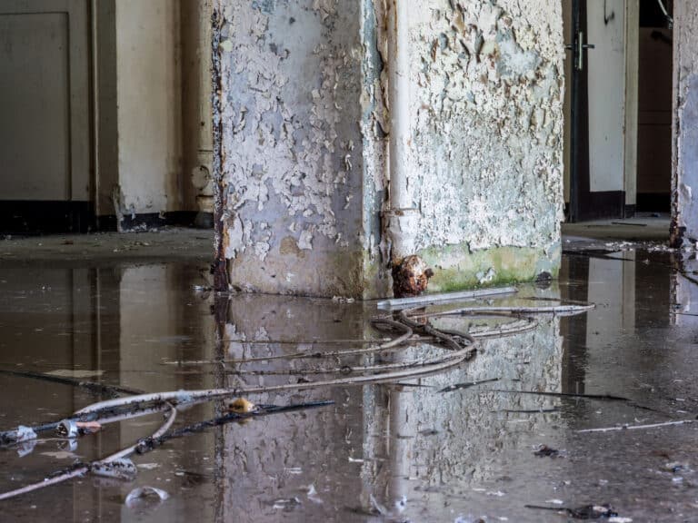 Repair Flood Damage Soon To Prevent Loss