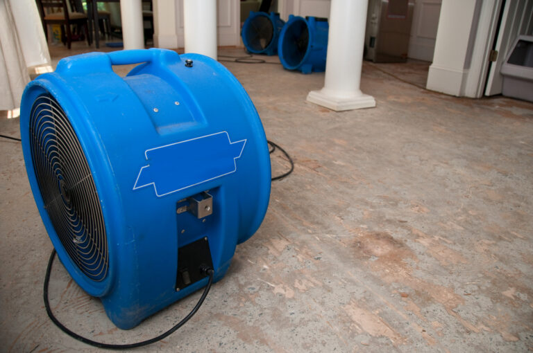 Understanding the Dehumidification Process in Water Damage Restoration