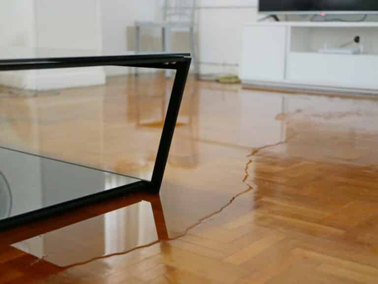 How Emergency Flood Cleanup Services Can Expedite the Recovery Process