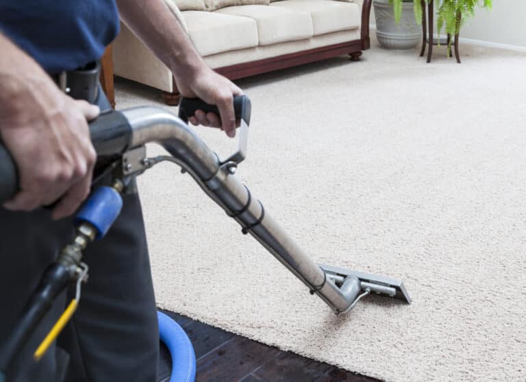 Why Are Water Damage Cleanup Services Vital?