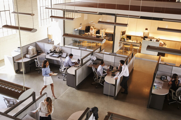 Restoring Business Continuity: The Role of Commercial Flood Restoration