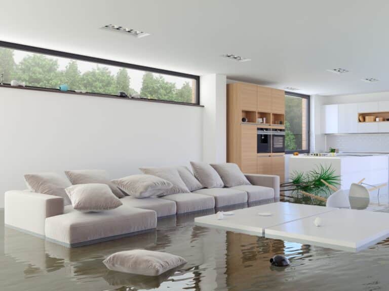 Water Damage Restoration Firms: Why You Should Hire Them?