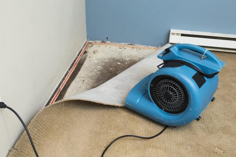 How Should You Deal with Water-Damaged Floors