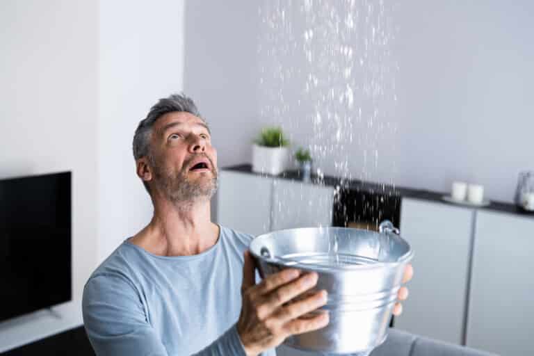 Can Mould Grow On Concrete And Cement?