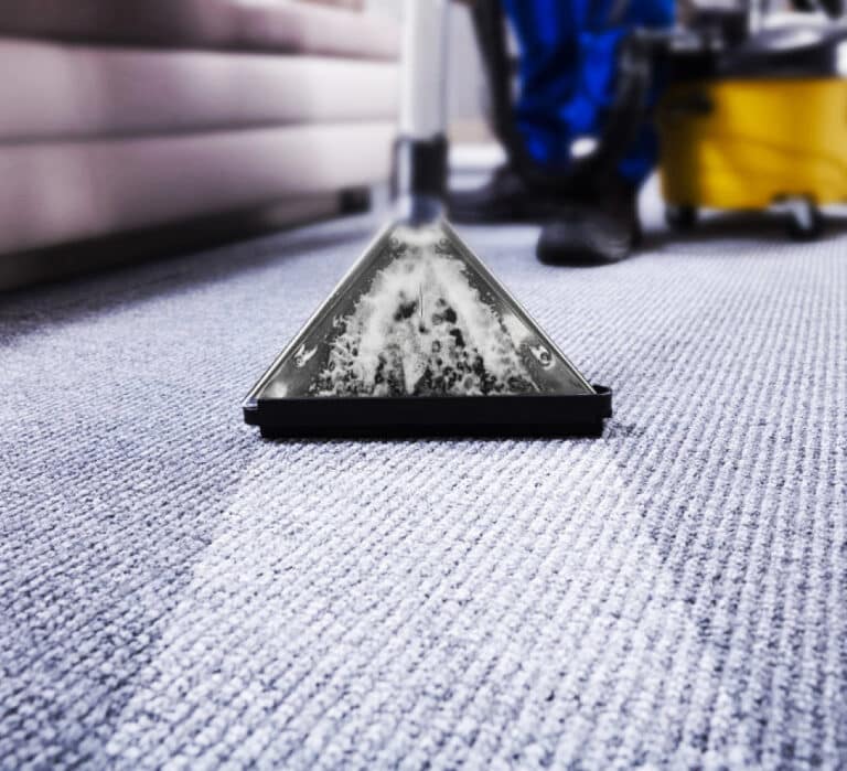 Essential Tips for Effective Carpet Drying