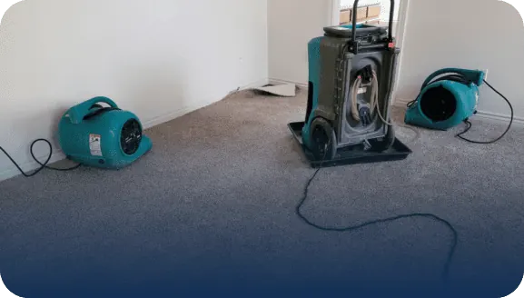 Wet carpet drying